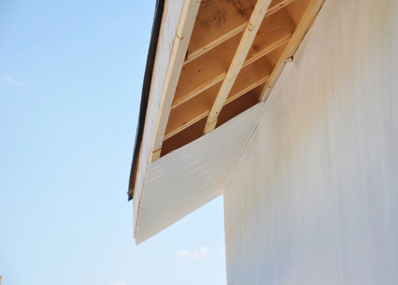 Roof Fascia Installation in Conroe, TX
